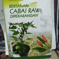 Image of BERTANAM CABE RAWIT DI PEKARANGAN