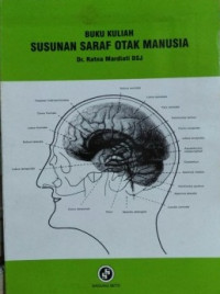 Image of Susunan Saraf Otak Manusia